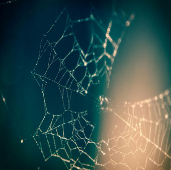 8 raisons pour lesquelles avoir un site Internet reste un choix incontournable